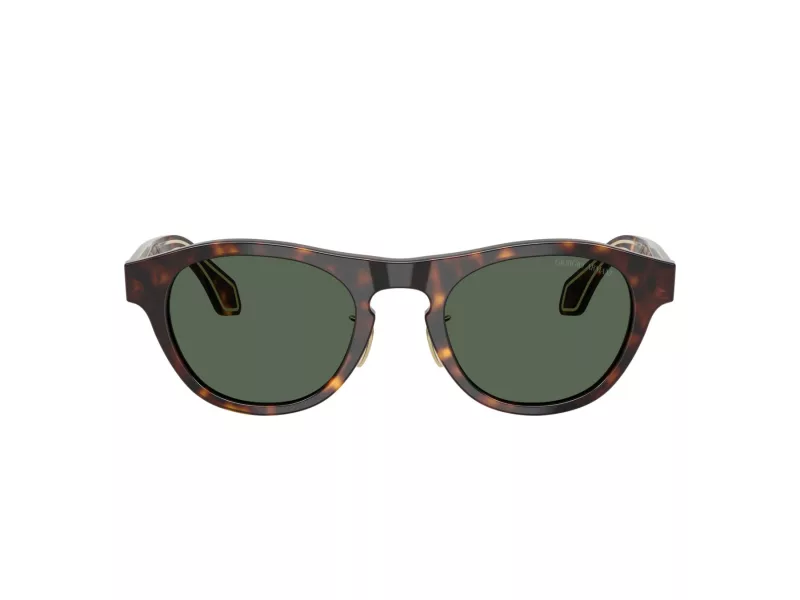 Giorgio Armani AR 8225 502671 49 Men sunglasses