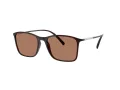 Giorgio Armani AR 8231U 623973 54 Men sunglasses