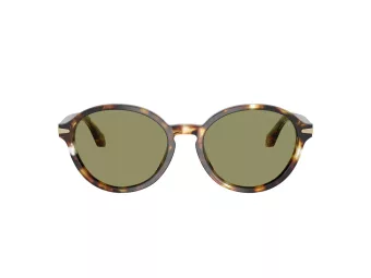 Giorgio Armani AR 8237 623214 53 Women sunglasses