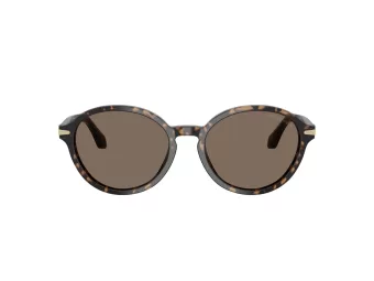 Giorgio Armani AR 8237 623573 53 Women sunglasses