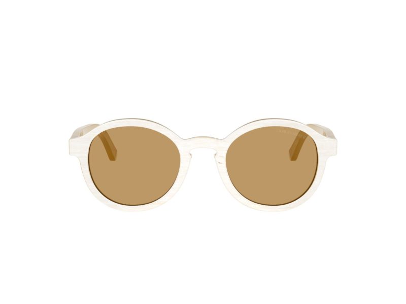 Giorgio Armani AR 8240 628373 47 Men sunglasses