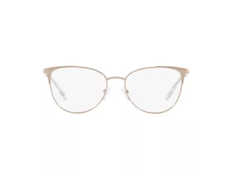 Armani Exchange AX 1034 6103 52 Women glasses