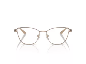 Armani Exchange AX 1063 6103 53 Women glasses