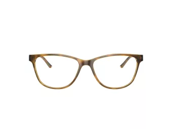 Armani Exchange AX 3047 8213 53 Women glasses