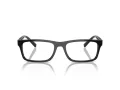 Armani Exchange AX 3115 8158 55 Men glasses