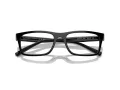 Armani Exchange AX 3115 8158 55 Men glasses