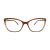 Berkeley BB 2022 Brown 55 Women glasses