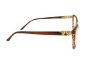 Berkeley BB 2022 Brown 55 Women glasses