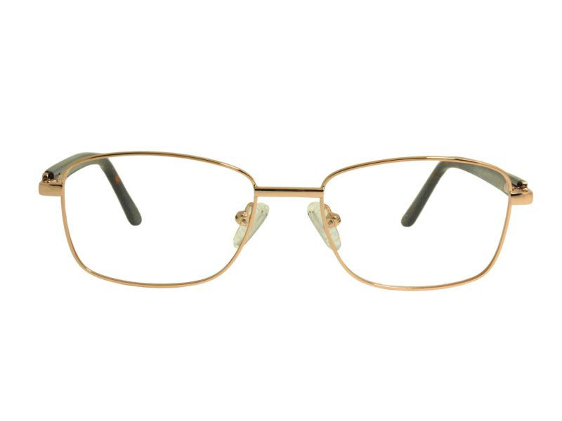 Berkeley BB Y_MO42 C2 48 Women glasses