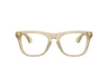 Burberry BE 2409 4123 53 Men glasses