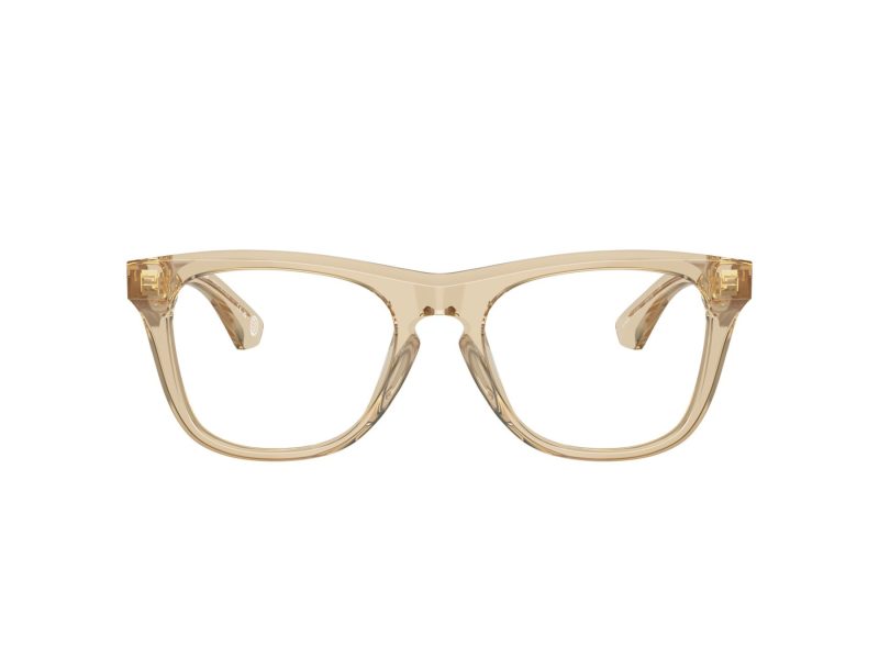 Burberry BE 2409 4123 53 Men glasses
