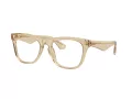 Burberry BE 2409 4123 53 Men glasses
