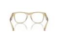 Burberry BE 2409 4123 53 Men glasses