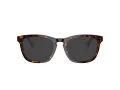 Burberry BE 2417 3002 51 Men glasses