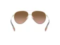 Burberry Ferry BE 3113 110913 59 Women sunglasses