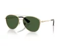 Burberry 3157 110971 59 Men, Women sunglasses