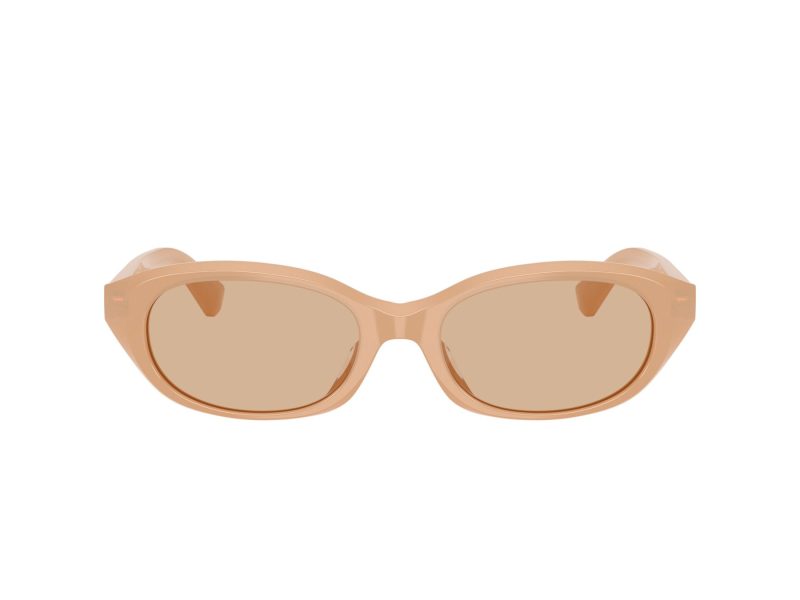 Burberry BE 4447D 415073 55 Women sunglasses