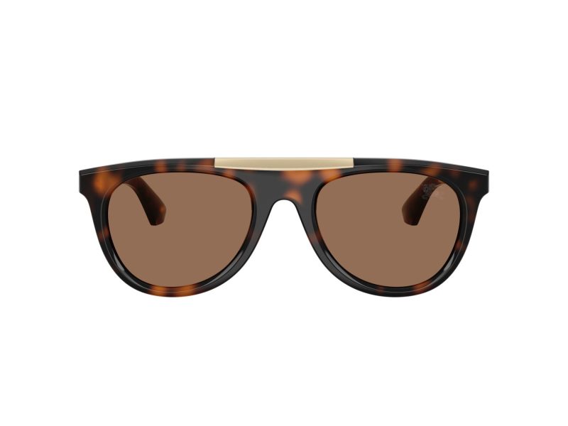 Burberry BE 4452U 300273 53 Men sunglasses