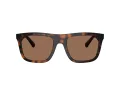 Burberry BE 4458U 300273 55 Men sunglasses