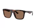 Burberry BE 4458U 300273 55 Men sunglasses