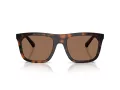Burberry BE 4458U 300273 55 Men sunglasses