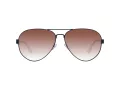 BMW Motorsport BS 0001 02F 60 Men sunglasses