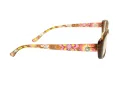 Berkeley computer glasses BB 5093 C3 51
