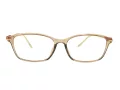 Berkeley computer glasses BB T5005 C4 55