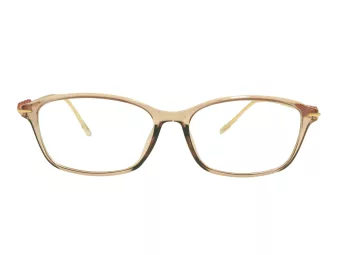 Berkeley computer glasses BB T5005 C4 55