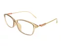 Berkeley computer glasses BB T5005 C4 55