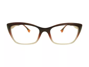 Berkeley computer glasses BB TR76013 C2 54