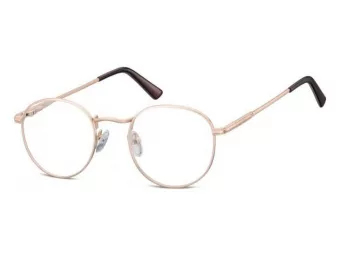 Berkeley computer glasses 604 F