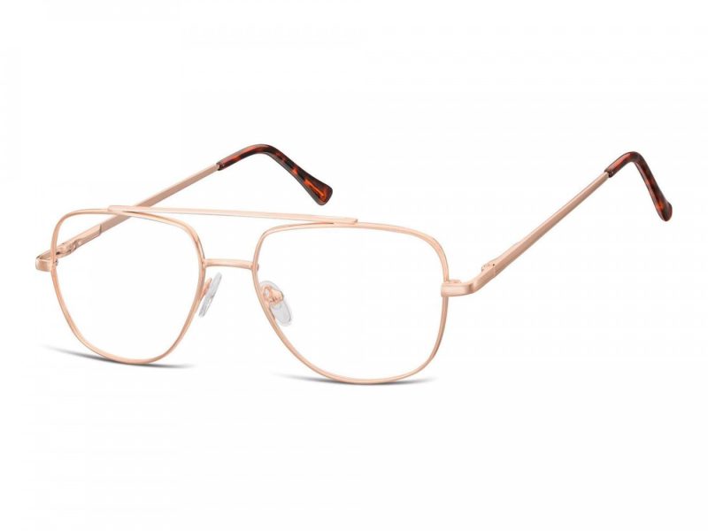 Berkeley computer glasses 787D
