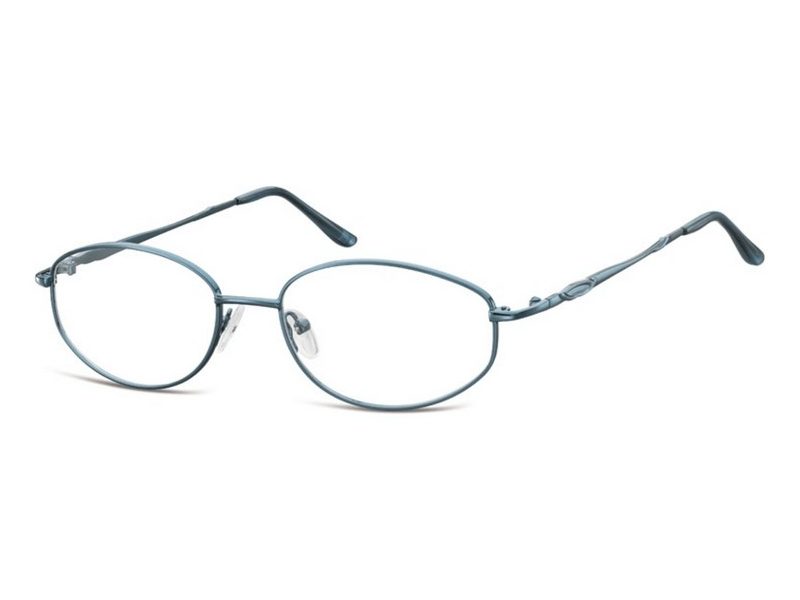 Berkeley computer glasses 795 B