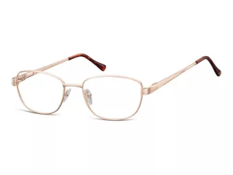 Berkeley computer glasses 796 C