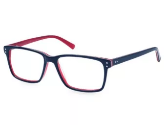 Berkeley computer glasses A85E
