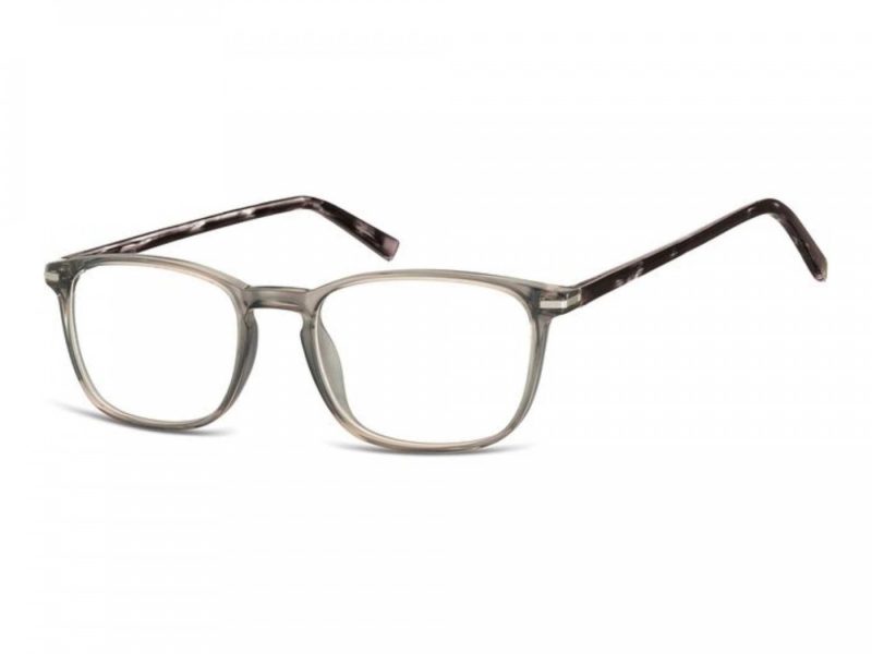 Berkeley computer glasses CP120A