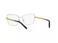 Dolce & Gabbana DG 1346 1311 55 Women glasses