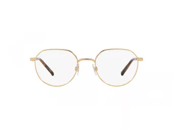 Dolce & Gabbana DG 1349 02 52 Men glasses