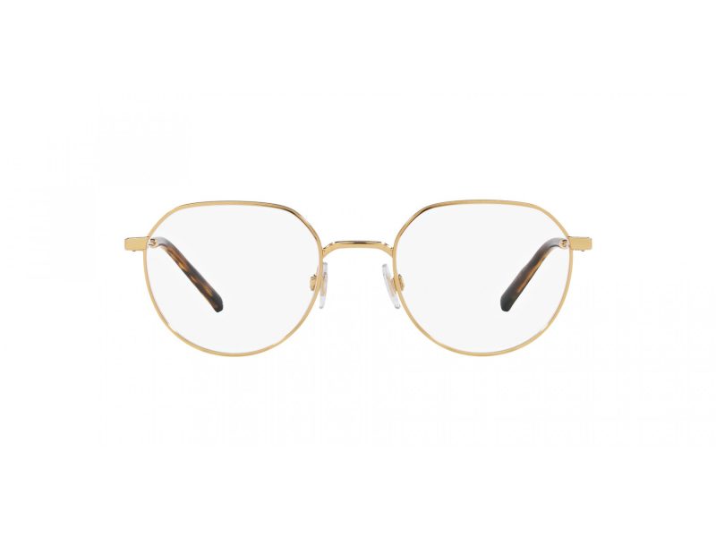 Dolce & Gabbana DG 1349 02 52 Men glasses