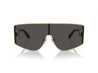 Dolce & Gabbana DG 2305 02/87 144 Men sunglasses