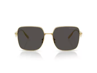 Dolce & Gabbana DG 2310 02/87 57 Women sunglasses