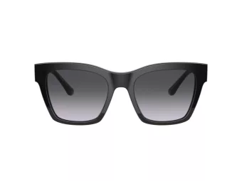 Dolce & Gabbana DG 4384 501/8G 53 Women sunglasses