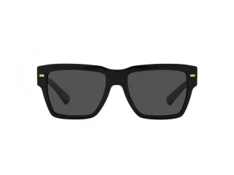 Dolce & Gabbana DG 4431 501/87 55 Men sunglasses