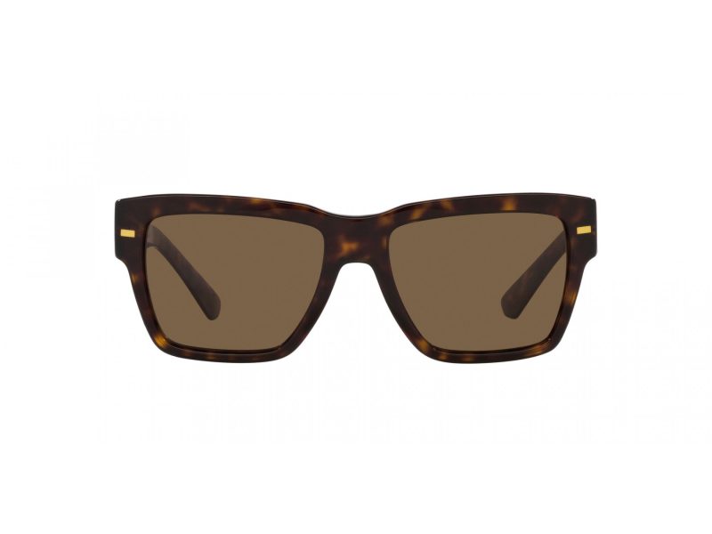 Dolce & Gabbana DG 4431 502/73 55 Men sunglasses