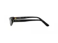 Dolce & Gabbana DG 4442 501/87 52 Women sunglasses