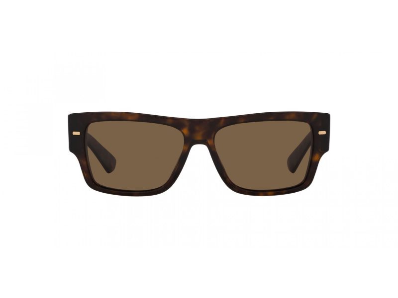 Dolce & Gabbana DG 4451 502/73 55 Men sunglasses