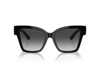 Dolce & Gabbana DG 4470 501/8G 54 Women sunglasses