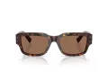 Dolce & Gabbana DG 4483 502/73 54 Men sunglasses