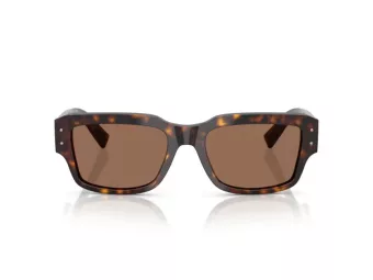 Dolce & Gabbana DG 4483 502/73 54 Men sunglasses